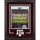 Texas A&M Aggies Deluxe 16'' x 20'' Vertical Photograph Frame with Team Logo