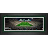 Michigan State Spartans Framed 10'' x 30'' Spartan Stadium Panoramic Photograph