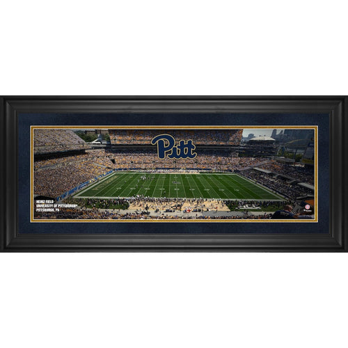 Pittsburgh Panthers Framed 10'' x 30'' Heinz Field Panoramic Photograph