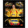 Joey Logano 12'' x 15'' 2018 NASCAR Monster Energy Cup Series Champion Sublimated Plaque