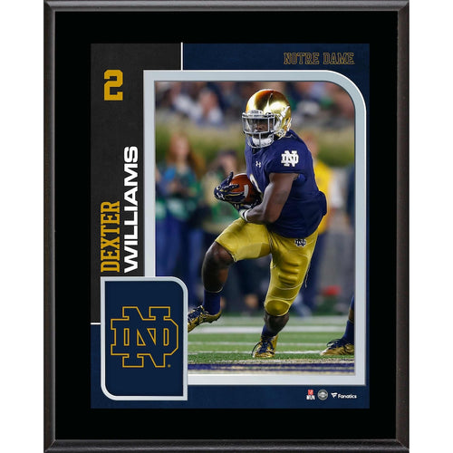Dexter Williams Notre Dame Fighting Irish 10.5'' x 13'' Sublimated Player Plaque