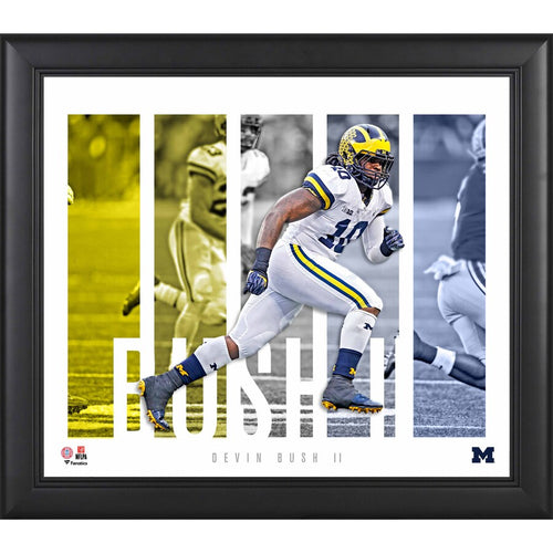 Devin Bush Michigan Wolverines Framed 15'' x 17'' Player Panel Collage