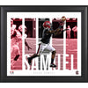 Deebo Samuel South Carolina Gamecocks Framed 15'' x 17'' Player Panel Collage