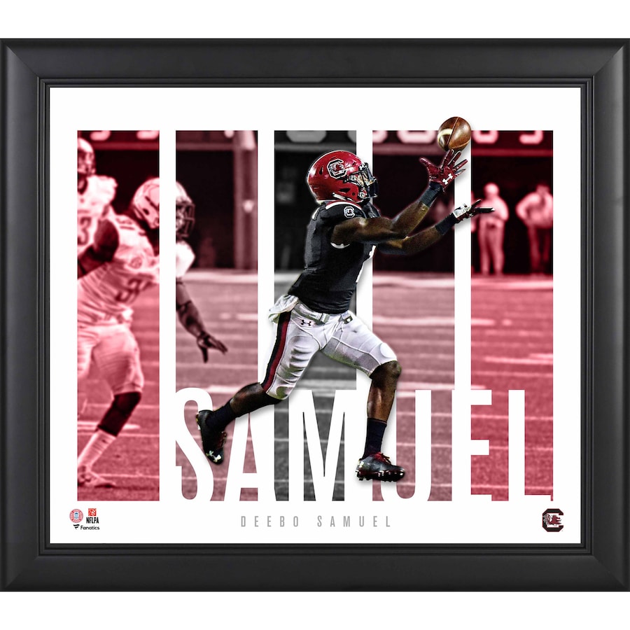 Deebo Samuel South Carolina Gamecocks Framed 15'' x 17'' Player Panel Collage