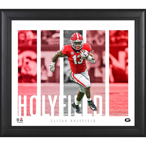 Elijah Holyfield Georgia Bulldogs Framed 15'' x 17'' Player Panel Collage