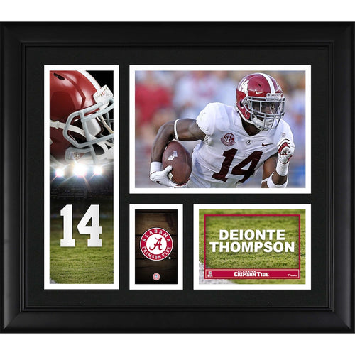 Deionte Thompson Alabama Crimson Tide Framed 15'' x 17'' Player Collage