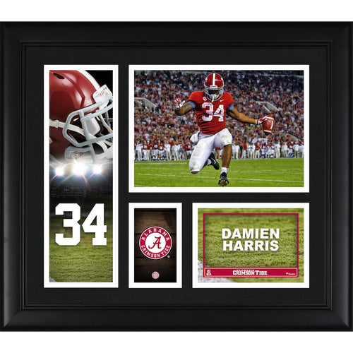 Damien Harris Alabama Crimson Tide Framed 15'' x 17'' Player Collage