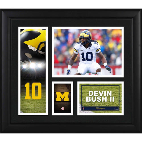 Devin Bush Michigan Wolverines Framed 15'' x 17'' Player Collage