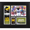 Devin Bush Michigan Wolverines Framed 15'' x 17'' Player Collage