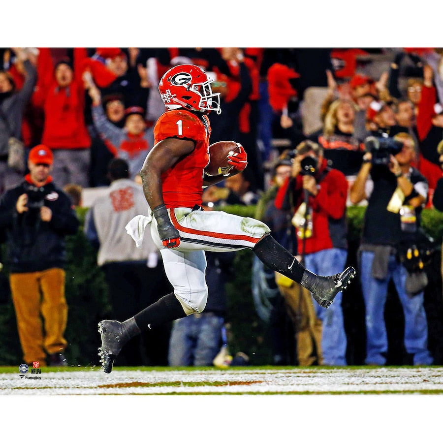 Sony Michel Georgia Bulldogs Unsigned Horizontal Endzone Celebration Photograph