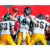 Aaron Rodgers Cal Bears Unsigned Horizontal White Passing Photograph