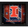 Illinois Fighting Illini Framed 15'' x 17'' Team Threads Collage