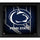 Penn State Nittany Lions Framed 15'' x 17'' Team Threads Collage