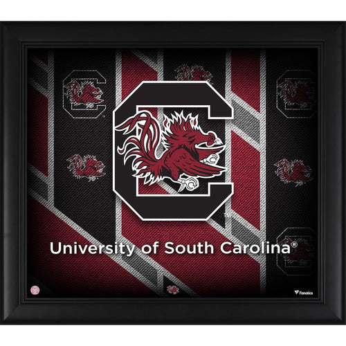 South Carolina Gamecocks Framed 15'' x 17'' Team Threads Collage