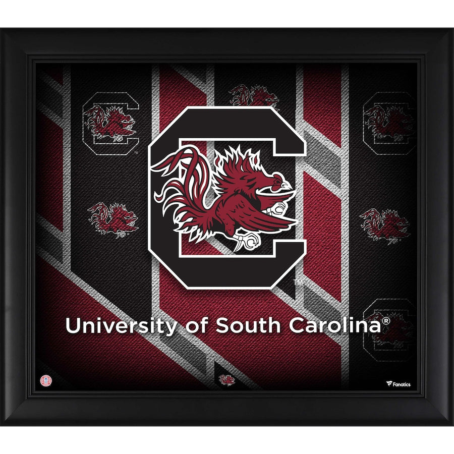 South Carolina Gamecocks Framed 15'' x 17'' Team Threads Collage