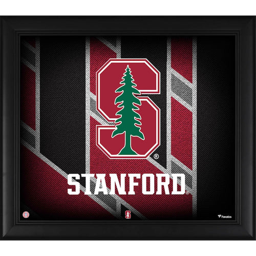 Stanford Cardinal Framed 15'' x 17'' Team Threads Collage