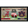 Alabama Crimson Tide vs. Auburn Tigers Framed 10'' x 20'' House Divided Football Collage