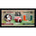 Florida State Seminoles vs. Miami Hurricanes Framed 10'' x 20'' House Divided Football Collage