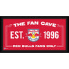 New York Red Bulls Framed 10'' x 20'' Fan Cave Collage