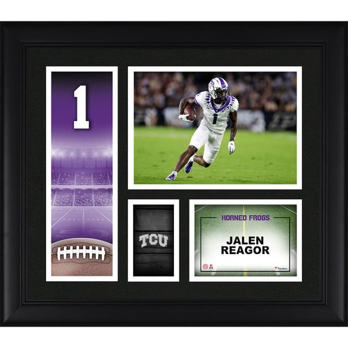 Jalen Reagor TCU Horned Frogs Framed 15'' x 17'' Player Panel Collage