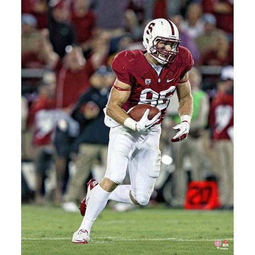 Zach Ertz Stanford Cardinal Unsigned Running Photograph