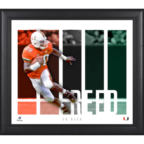 Ed Reed Miami Hurricanes Framed 15'' x 17'' Player Panel Collage