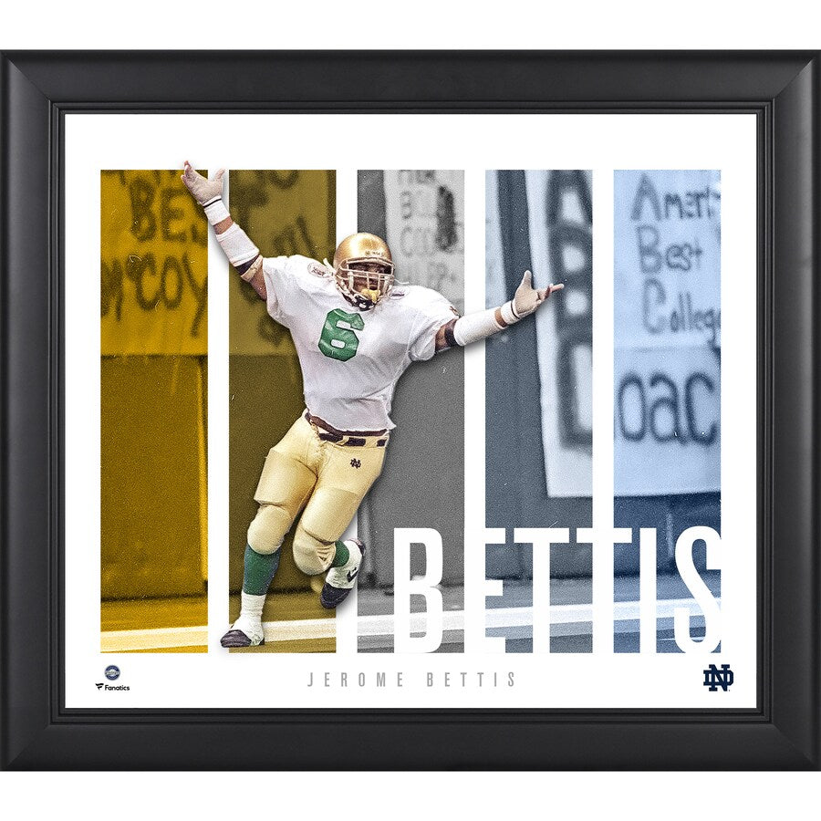 Jerome Bettis Notre Dame Fighting Irish Framed 15'' x 17'' Player Panel Collage