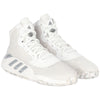 Kansas Jayhawks Team-Issued White Pro Bounce Shoes from the Basketball Program