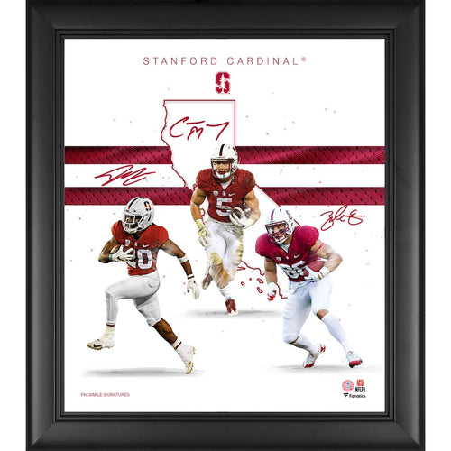 Stanford Cardinal Framed 15'' x 17'' Franchise Foundations Collage