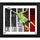 Bill Hamid DC United Framed 15'' x 17'' Player Panel Collage