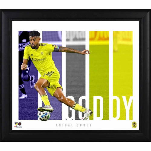 Anibal Godoy Nashville SC Framed 15'' x 17'' Player Panel Collage
