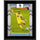 Dayne St. Clair Minnesota United FC 10.5'' x 13'' Sublimated Player Plaque