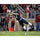 Christian McCaffrey Stanford Cardinal Unsigned Black Jersey Diving for Catch vs. Washington State Photograph