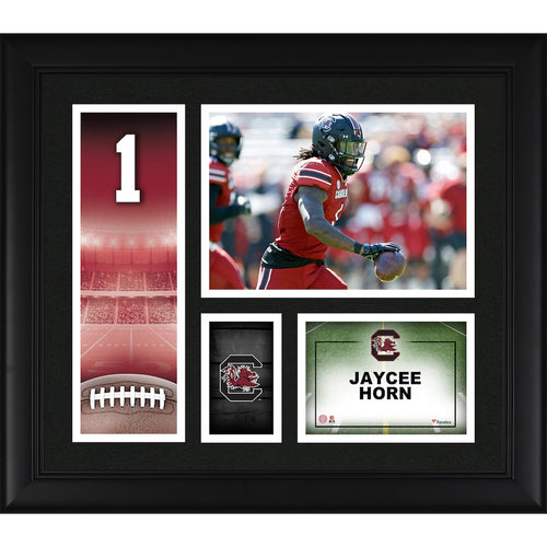 Jaycee Horn South Carolina Gamecocks Framed 15'' x 17'' Player Core Collage