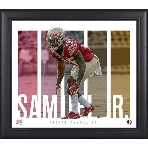 Asante Samuel Jr. Florida State Seminoles Framed 15'' x 17'' Player Panel Collage