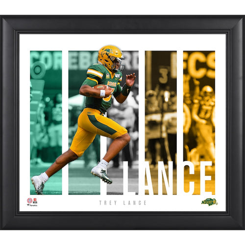 Trey Lance NDSU Bison Framed 15'' x 17'' Player Panel Collage
