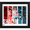 Xherdan Shaqiri Chicago Fire Framed 15'' x 17'' Player Panel Collage