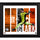 Steve Clark Houston Dynamo FC Framed 15'' x 17'' Player Panel Collage