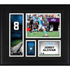 Jordy Alcivar Charlotte FC Framed 15'' x 17'' Player Core Collage