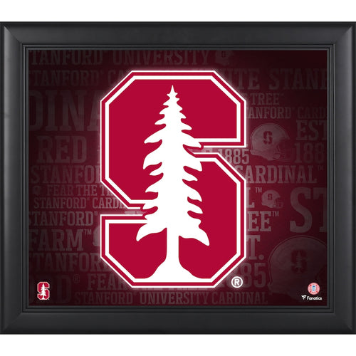 Stanford Cardinal Framed 15'' x 17'' Team Heritage Collage