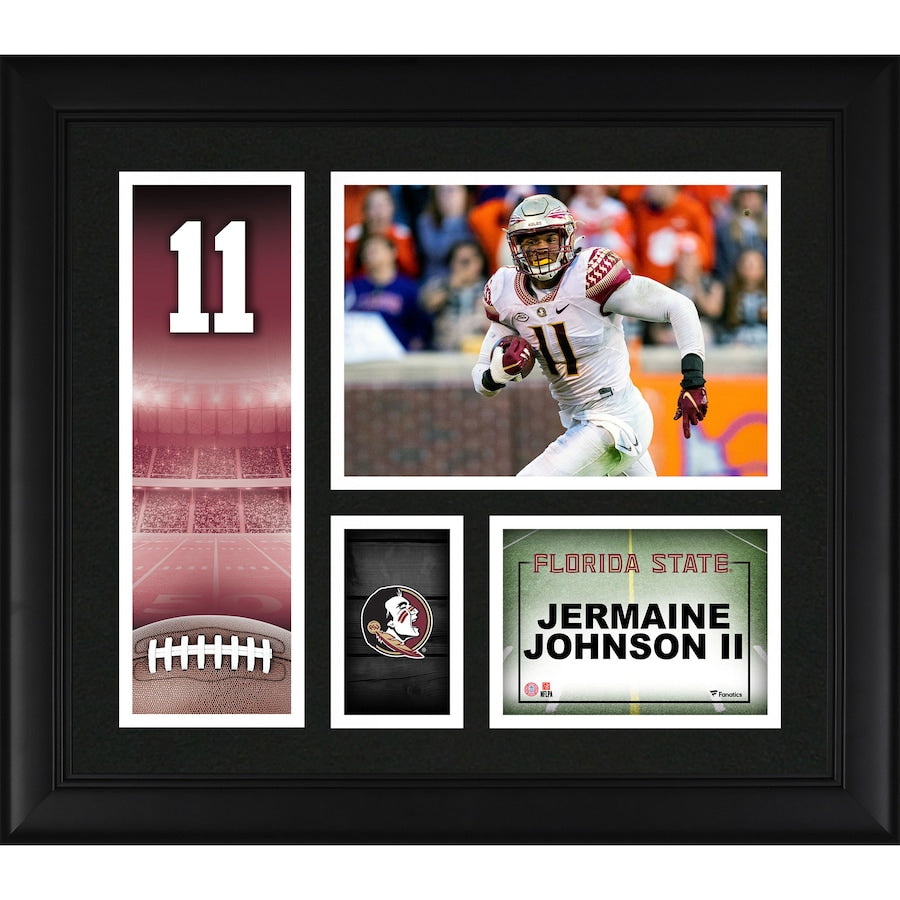 Jermaine Johnson II Florida State Seminoles Framed 15'' x 17'' Player Collage