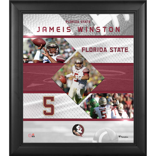 Jameis Winston Florida State Seminoles Framed 15'' x 17'' Stitched Stars Collage