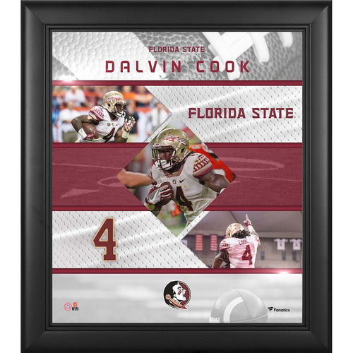 Dalvin Cook Florida State Seminoles Framed 15'' x 17'' Stitched Stars Collage