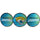 Jacksonville Jaguars Decal Lenticular - Siskiyou