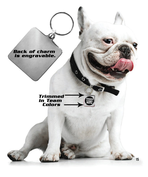 Cleveland Cavaliers Pet Collar Charm - Little Earth