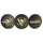 Pittsburgh Penguins Decal Lenticular - Siskiyou