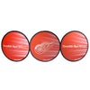 Detroit Red Wings Decal Lenticular - Siskiyou