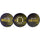 Boston Bruins Decal Lenticular - Siskiyou