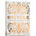 Bicycle Specialty - Bicycle Playing Cards: Botanica