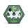 Misty Mountain Gaming -  Daggerheart (Rpg): Domain Dice Set: Sage Domain (9Ct) Pre-Order